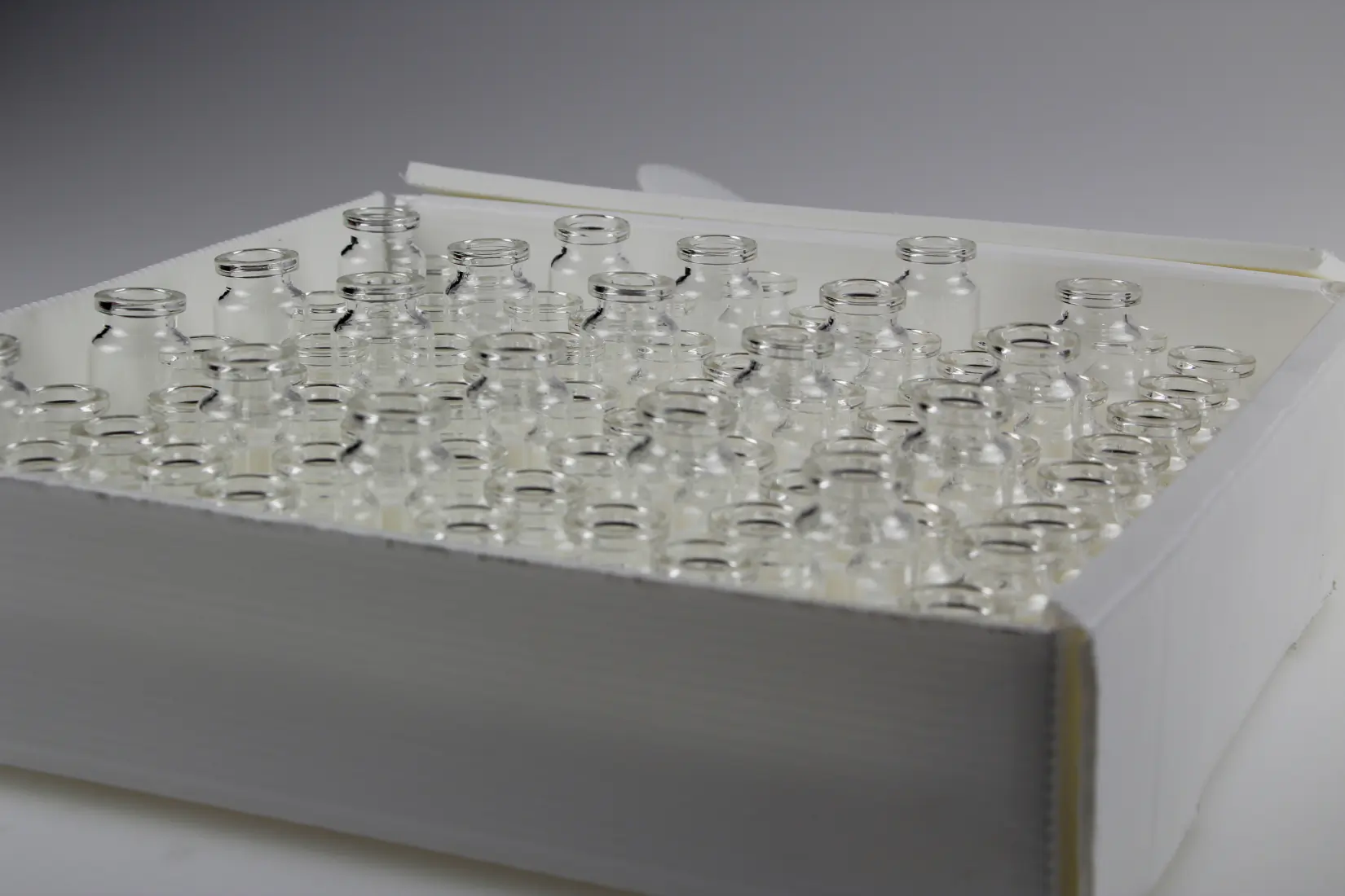 Complemento de embalaje para maletines